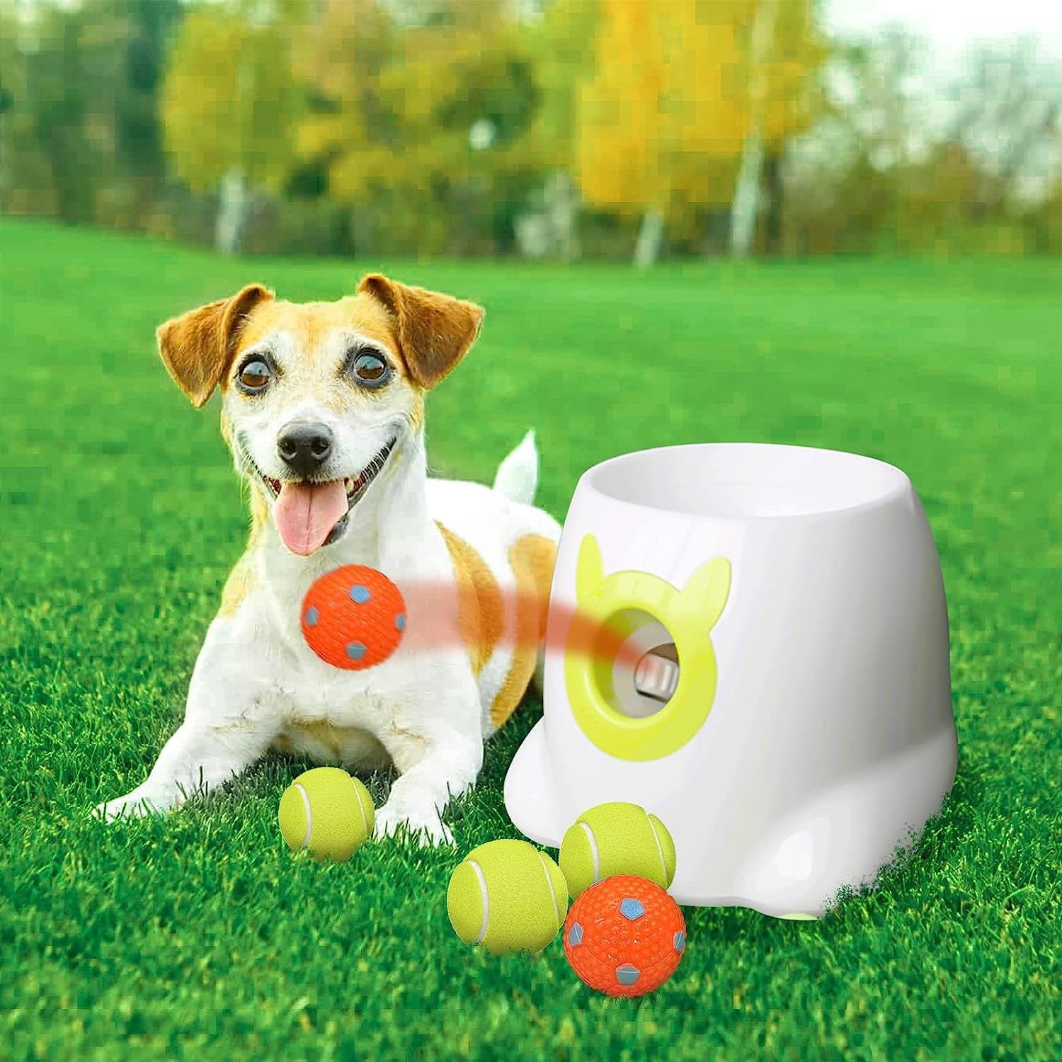 dog toys for dogs